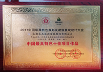 中國最具特色十佳項目作品