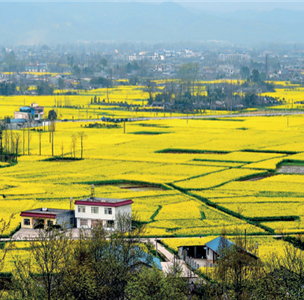 創(chuàng)建柔性社會(huì)、安全時(shí)空：512災(zāi)后重建規(guī)劃10周年紀(jì)念