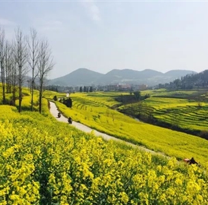 鄉(xiāng)村振興、田園綜合體相關(guān)政策梳理