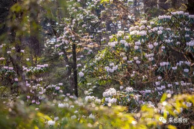 QQ截圖20180827165606