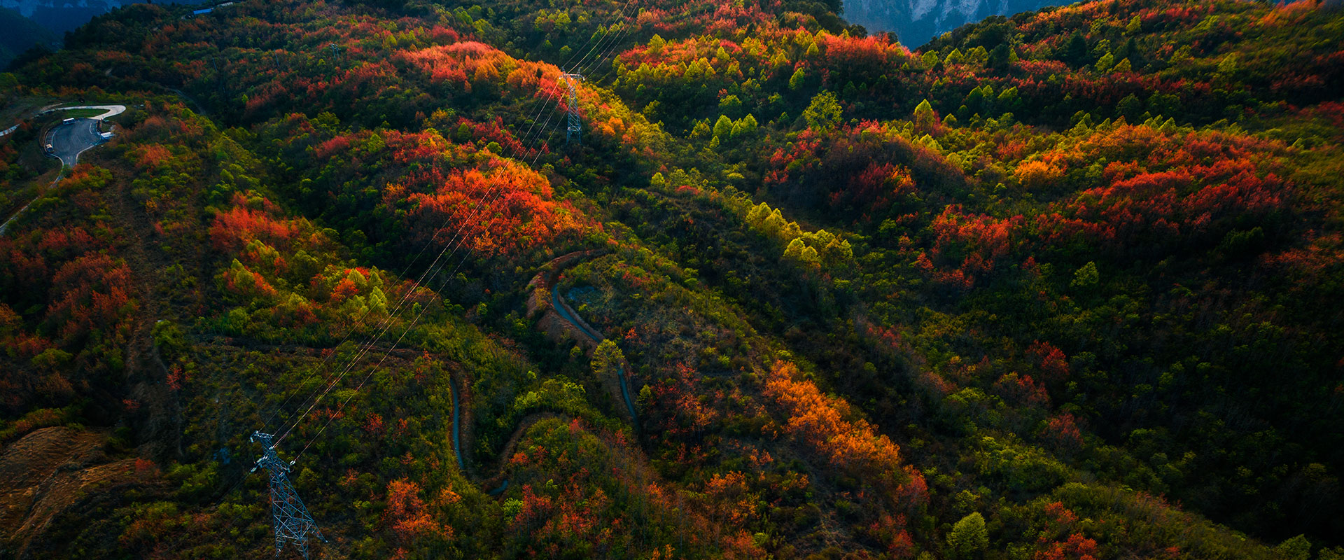 鄉(xiāng)村振興