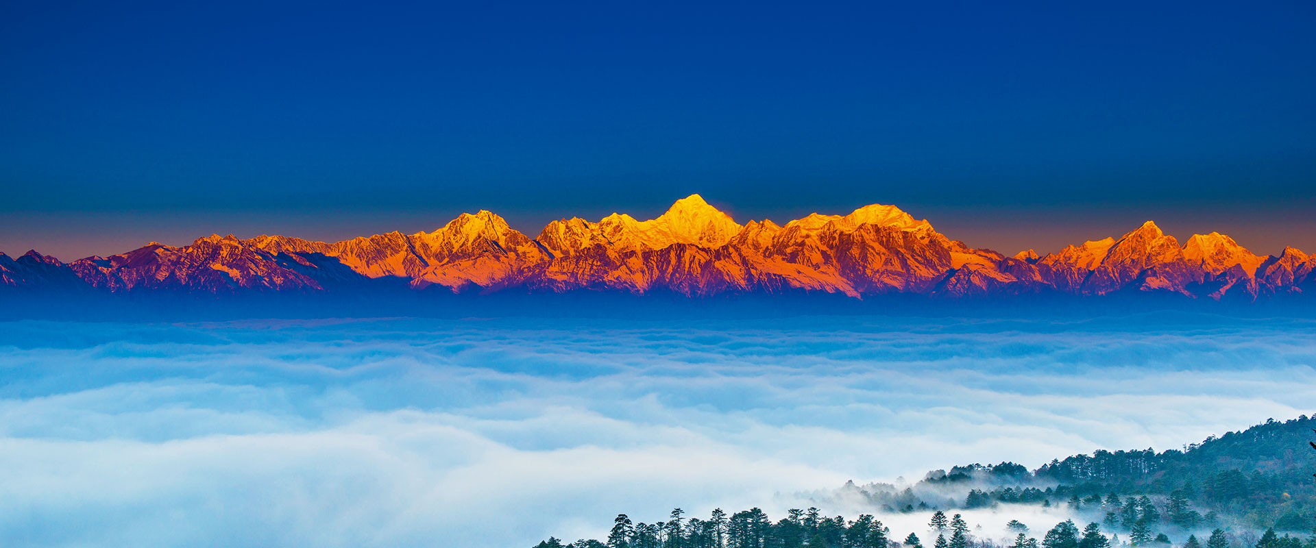 運(yùn)營、營銷、新媒體