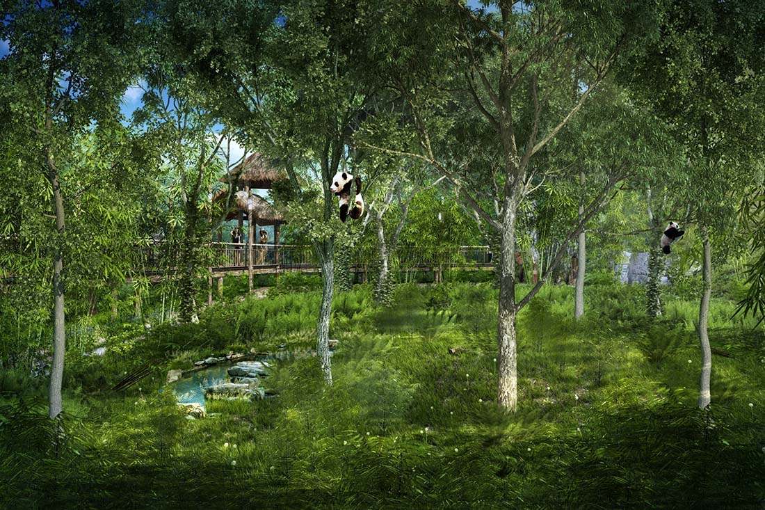 無干擾熊貓圈舍效果圖2