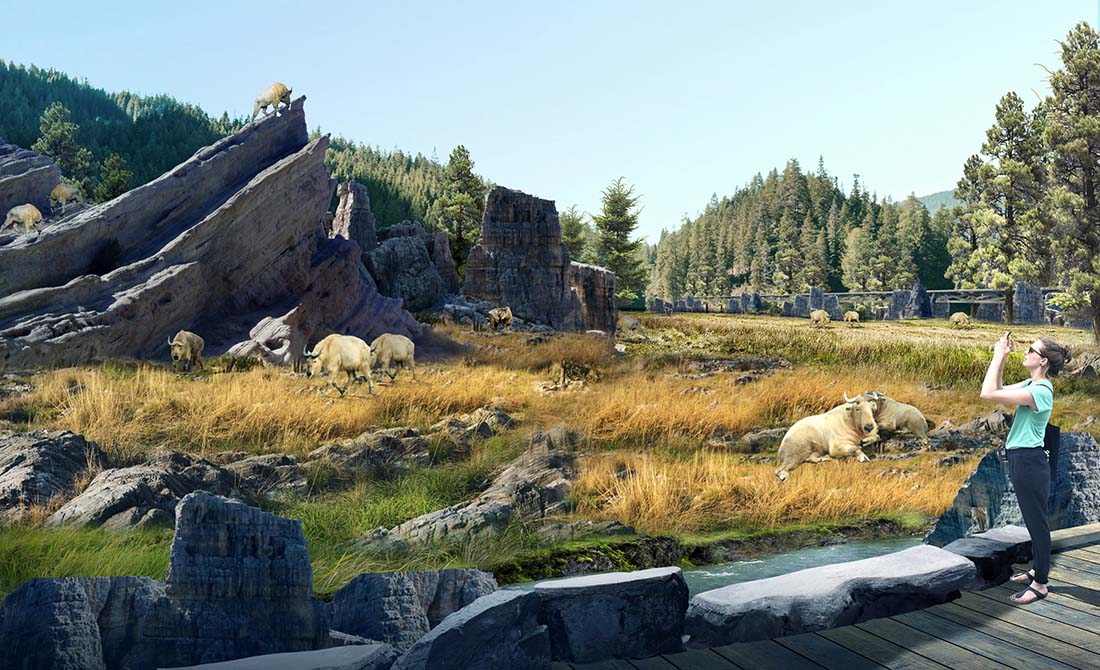 駱谷草原效果圖2