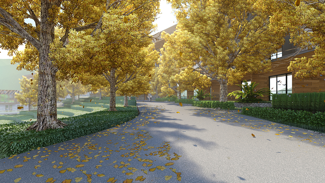 酒店前銀杏大道