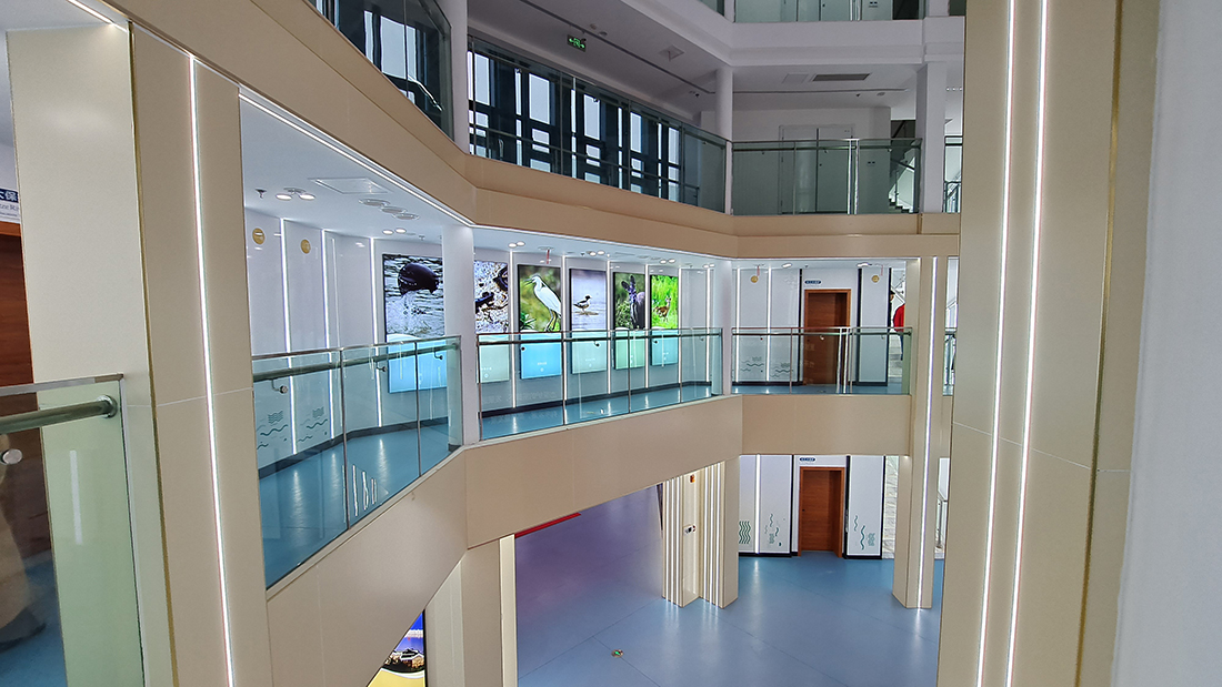 微信圖片_20220607154800 微信圖片_20220607154800