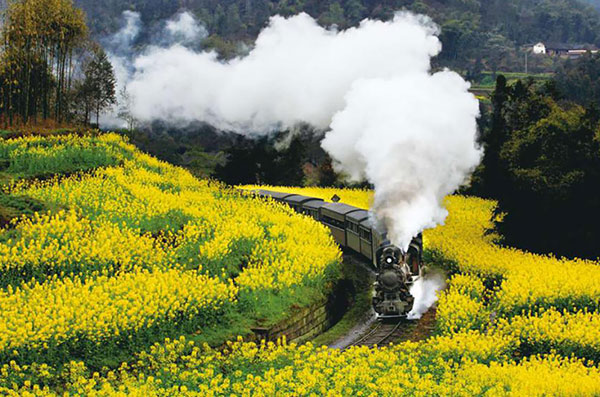 嘉陽桫欏湖景區(qū)黨性教育專項(xiàng)研學(xué)產(chǎn)品策劃