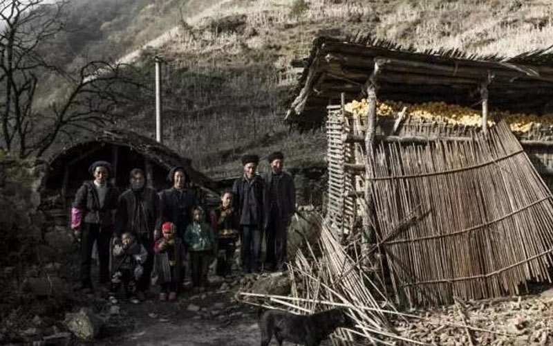 老樹(shù)樁做蜂箱，天然野花為蜜源，蜂場(chǎng)藏在海拔1400米深山里...王崗坪的蜂蜜要逆天哪！