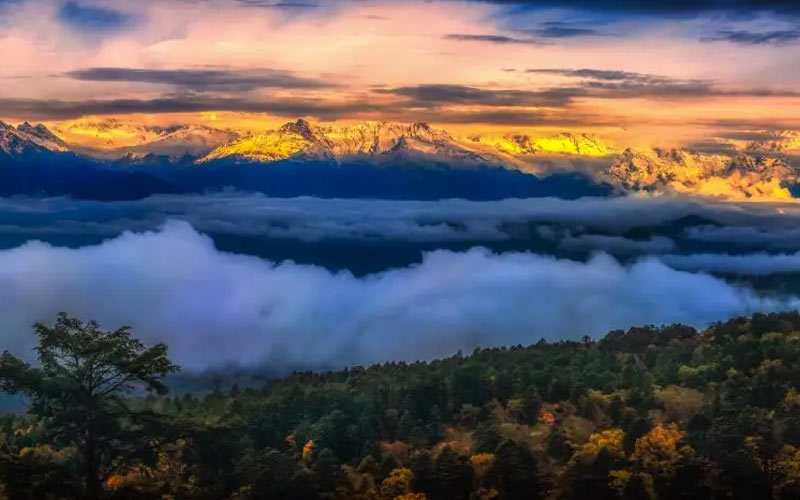 王崗坪納入創(chuàng)建國(guó)家4A級(jí)旅游景區(qū)名單 唯美宣傳片搶先看！