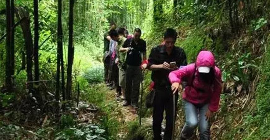 用腳走出的山路，用汗水歷練出的能人