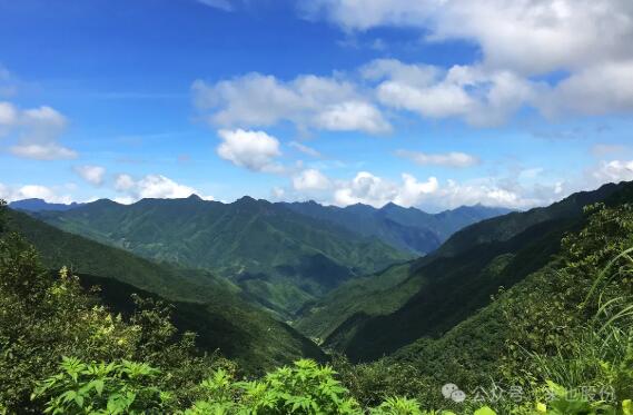 在地生長——自然生態(tài)景觀的創(chuàng)意表達