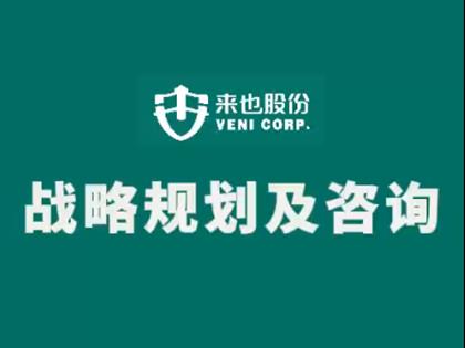 來也股份業(yè)務(wù)——戰(zhàn)略規(guī)劃及咨詢
